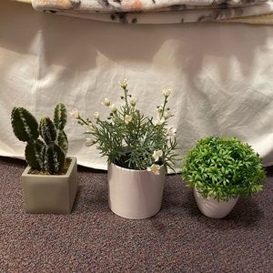 three fake plants add a pop of life and green to any space